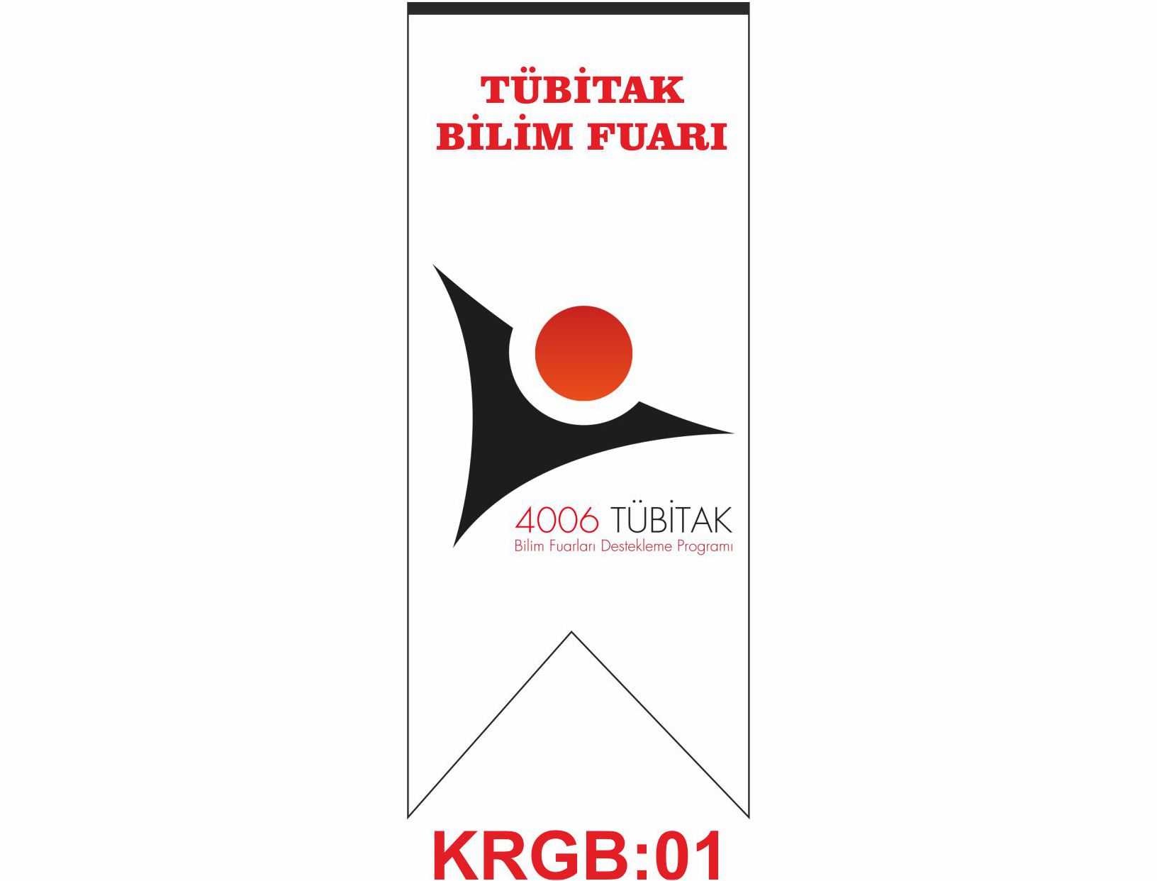 Kırlangınç Bayrak 01