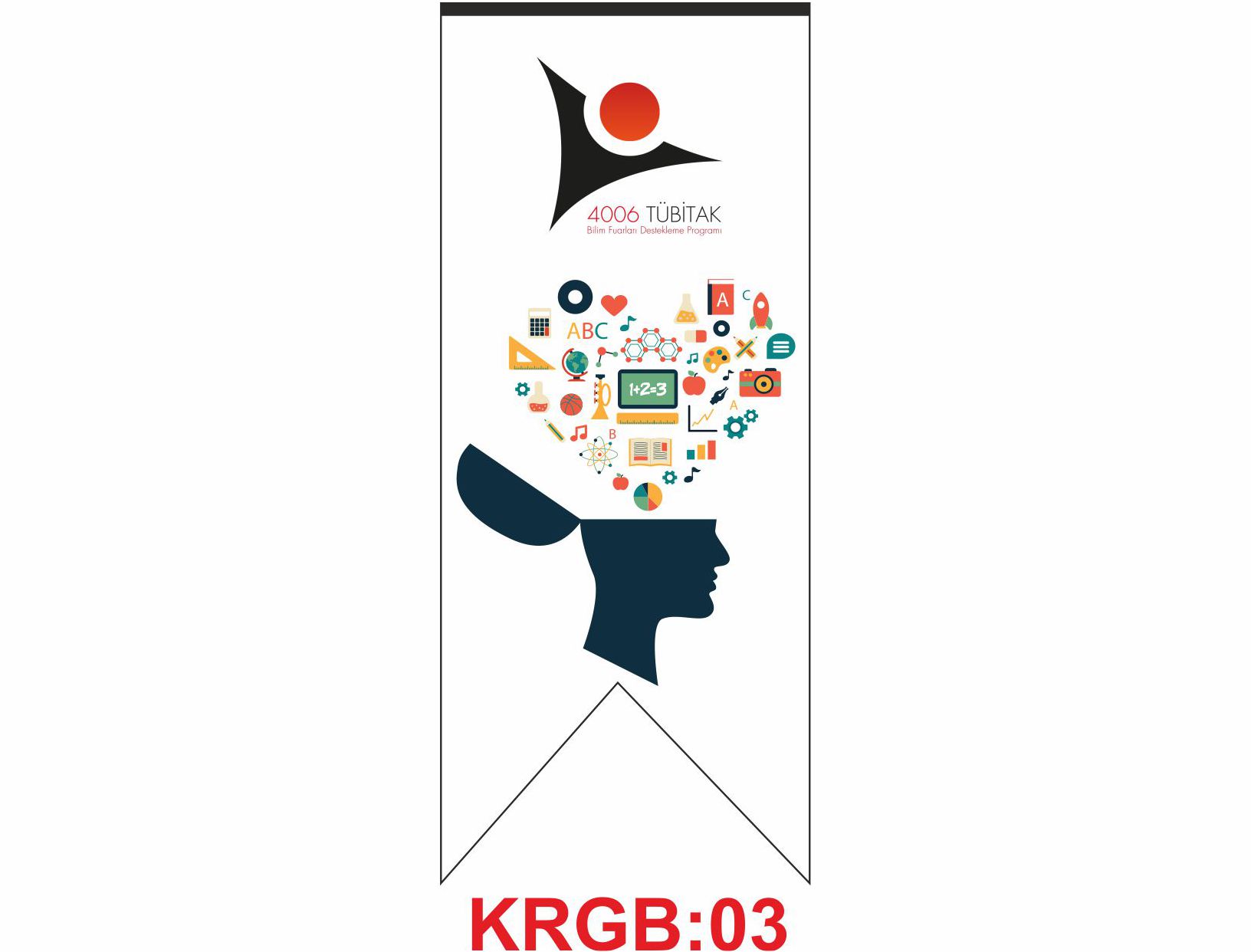 Kırlangınç Bayrak 03