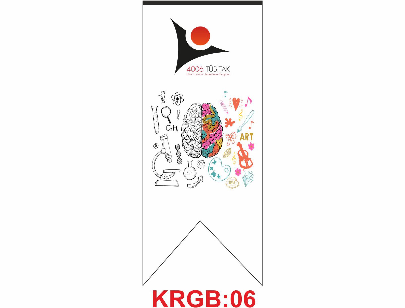 Kırlangınç Bayrak 06
